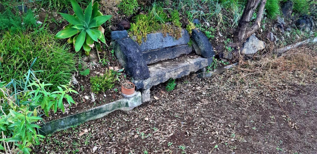 Ponta Delgada Quinta Do Bom Despacho מראה חיצוני תמונה