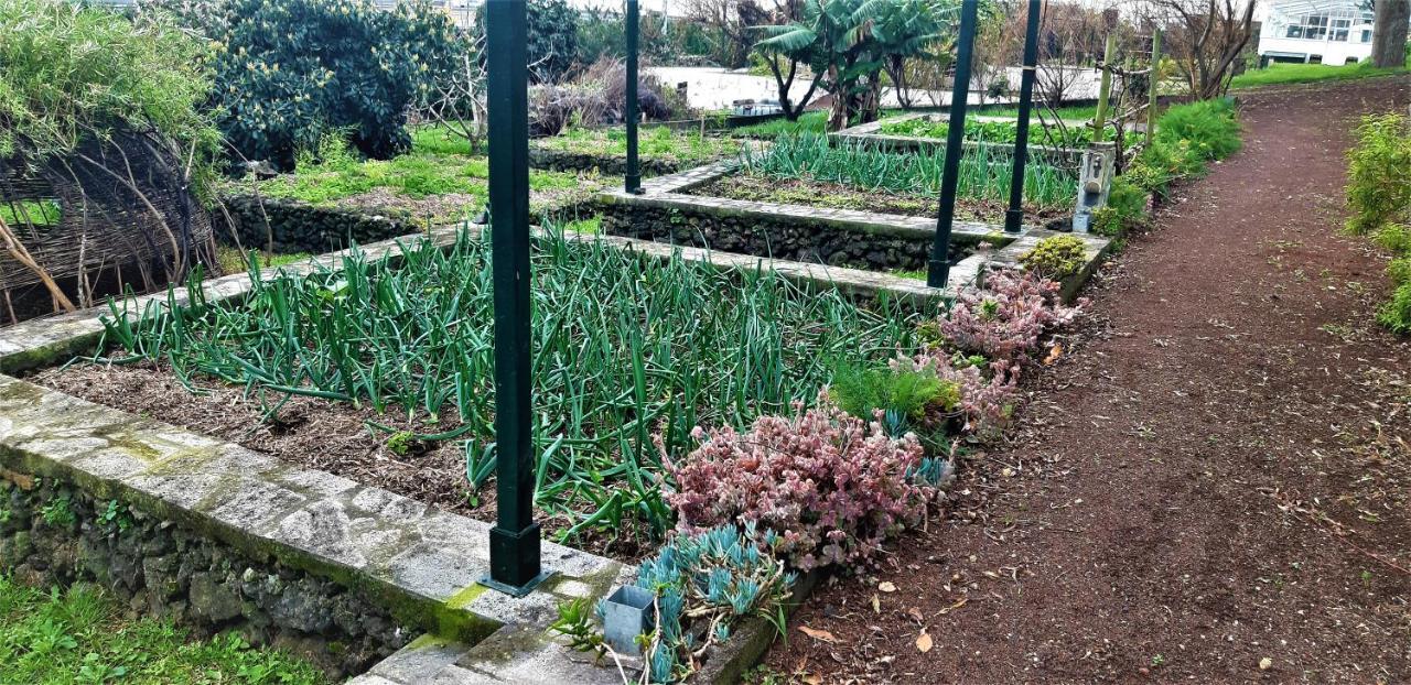 Ponta Delgada Quinta Do Bom Despacho מראה חיצוני תמונה
